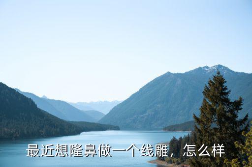 平頂山線雕隆鼻一般多少錢,最近想隆鼻做一個線雕