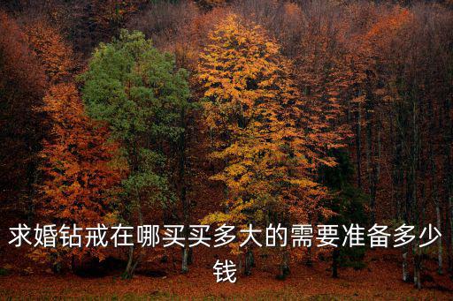 求婚鉆戒在哪買買多大的需要準備多少錢