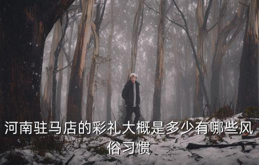 駐馬店聘禮多少錢,河南南陽彩禮多少錢