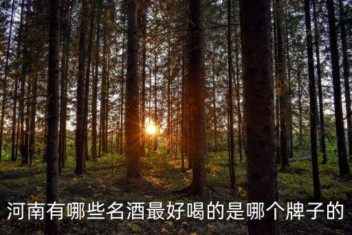 河南有哪些名酒最好喝的是哪個牌子的