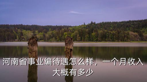 河南省事業編待遇怎么樣，一個月收入大概有多少