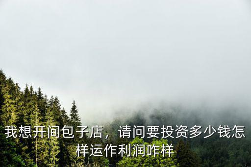 我想開間包子店，請問要投資多少錢怎樣運作利潤咋樣