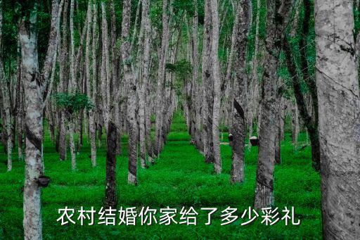 開封杞縣結婚隨禮一般多少,在開封市區結婚