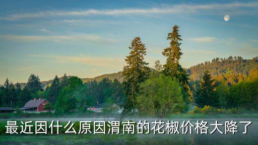 最近因什么原因渭南的花椒價(jià)格大降了