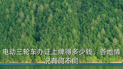電動三輪車辦證上牌得多少錢，各地情況有何不同