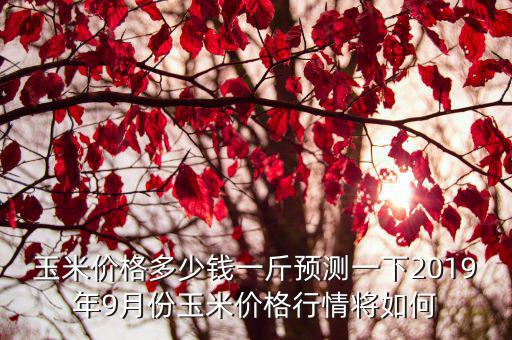 漯河今天玉米價格多少錢1斤,玉米價格多少錢一斤