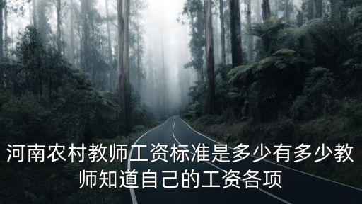 河南農村教師工資標準是多少有多少教師知道自己的工資各項