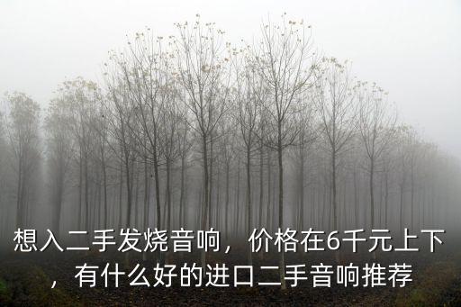 想入二手發燒音響，價格在6千元上下，有什么好的進口二手音響推薦