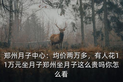 鄭州月子中心：均價兩萬多，有人花11萬元坐月子鄭州坐月子這么貴嗎你怎么看