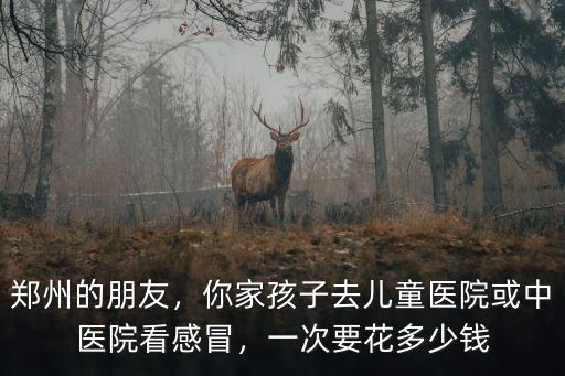 鄭州的朋友，你家孩子去兒童醫院或中醫院看感冒，一次要花多少錢