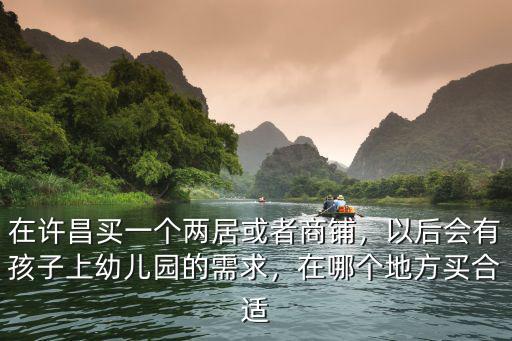 在許昌買一個兩居或者商鋪，以后會有孩子上幼兒園的需求，在哪個地方買合適