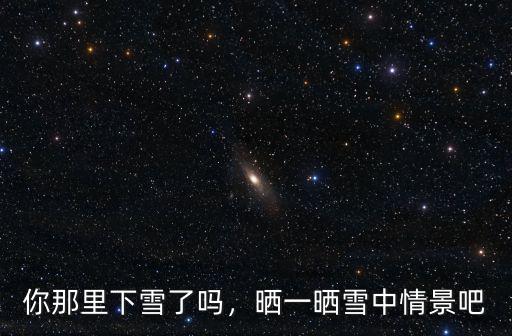 你那里下雪了嗎，曬一曬雪中情景吧