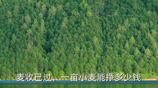 麥收已過，一畝小麥能掙多少錢