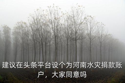建議在頭條平臺設個為河南水災捐款賬戶，大家同意嗎