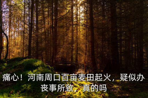 痛心！河南周口百畝麥田起火，疑似辦喪事所致，真的嗎