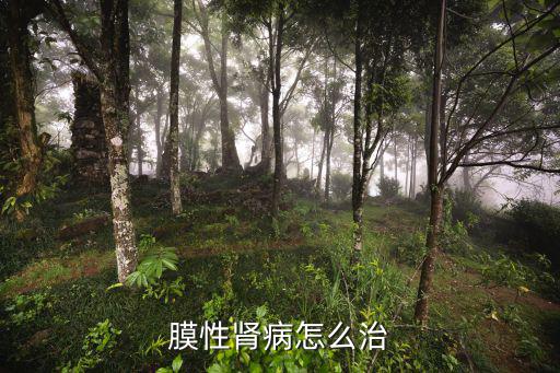 膜性腎病怎么治
