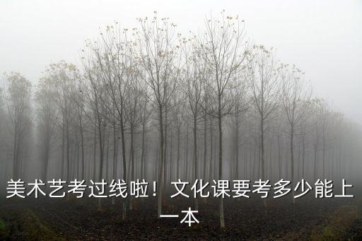 河南美術(shù)考生考一本要多少分,美術(shù)要考多少分才能上個二本