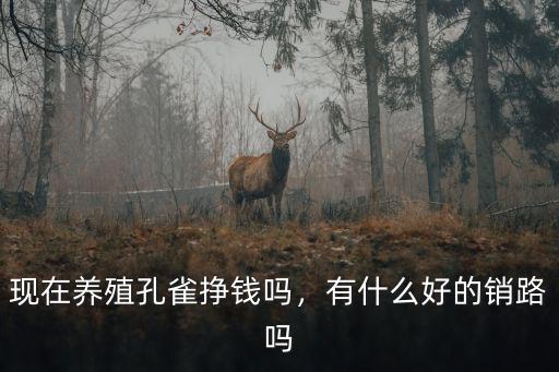 現在養殖孔雀掙錢嗎，有什么好的銷路嗎