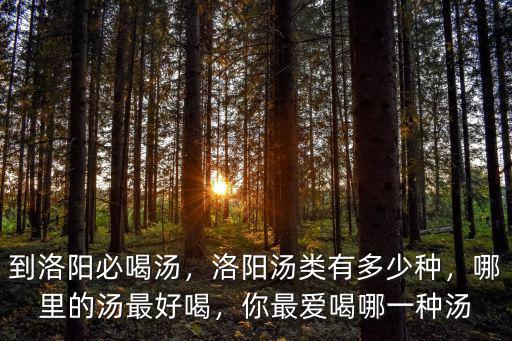到洛陽必喝湯，洛陽湯類有多少種，哪里的湯最好喝，你最愛喝哪一種湯