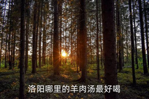 洛陽哪里有賣山羊肉的,洛陽哪里的羊肉湯最好喝