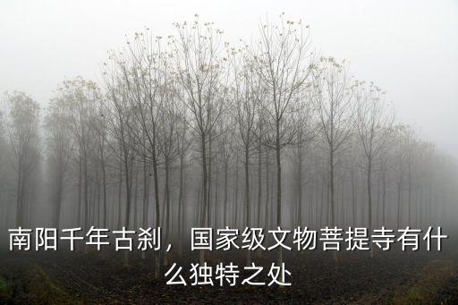 南陽千年古剎，國家級文物菩提寺有什么獨特之處