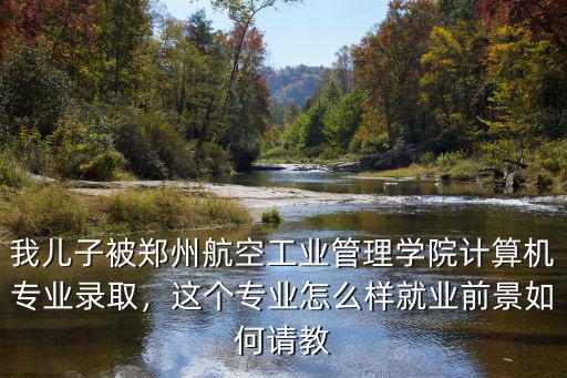我兒子被鄭州航空工業管理學院計算機專業錄取，這個專業怎么樣就業前景如何請教