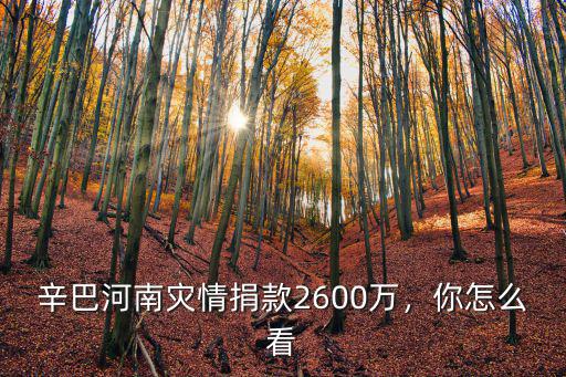 辛巴河南災情捐款2600萬，你怎么看