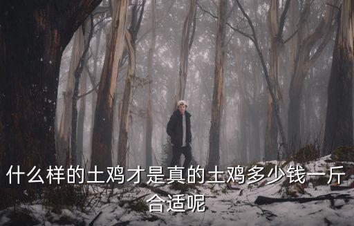 什么樣的土雞才是真的土雞多少錢一斤合適呢