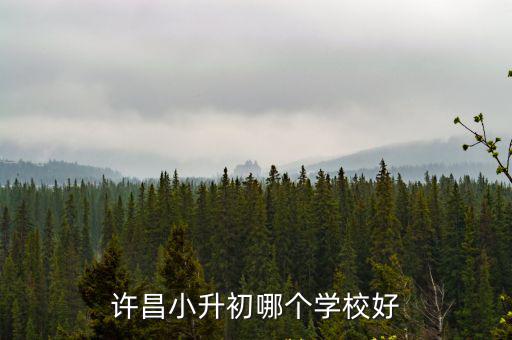 許昌外國語學院怎么樣,隨州外國語學校怎么樣