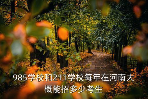 985學(xué)校和211學(xué)校每年在河南大概能招多少考生