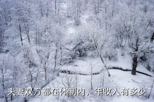 夫妻雙方都在體制內，年收入有多少
