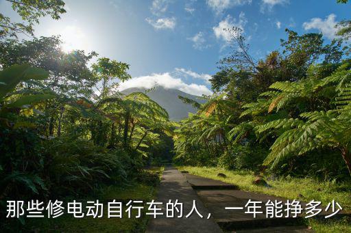 那些修電動自行車的人，一年能掙多少