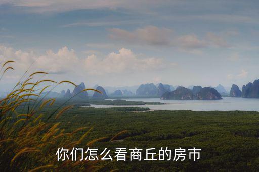 商丘瑞海置業怎么樣,海南瓊海房子怎么樣