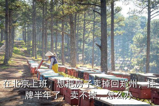 在北京上班，想把房子賣掉回鄭州，掛牌半年了，賣不掉，怎么辦