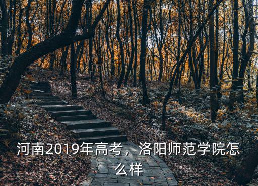 河南2019年高考，洛陽師范學院怎么樣