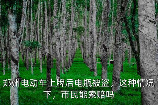 鄭州電動車上牌后電瓶被盜，這種情況下，市民能索賠嗎