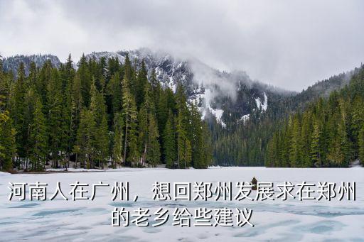河南人在廣州，想回鄭州發展求在鄭州的老鄉給些建議