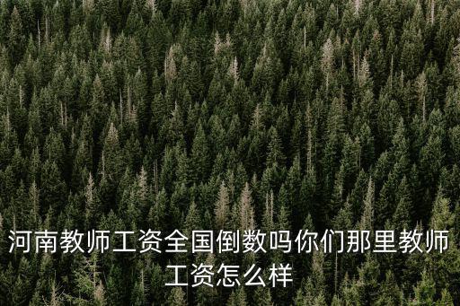 河南夏邑縣教師工資多少,你們那里教師工資怎么樣