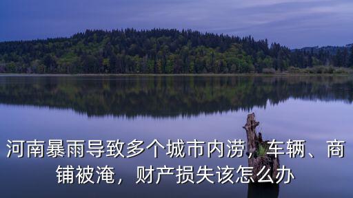 河南暴雨導(dǎo)致多個(gè)城市內(nèi)澇，車(chē)輛、商鋪被淹，財(cái)產(chǎn)損失該怎么辦
