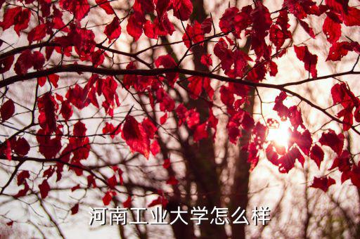 河南路景怎么樣,河南工程學院怎么樣