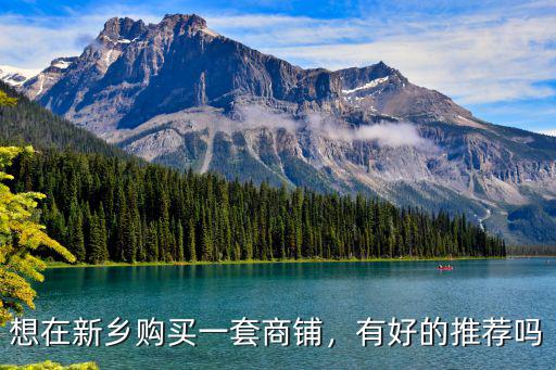 新鄉哪里有出租旺鋪,新鄉哪里租房便宜