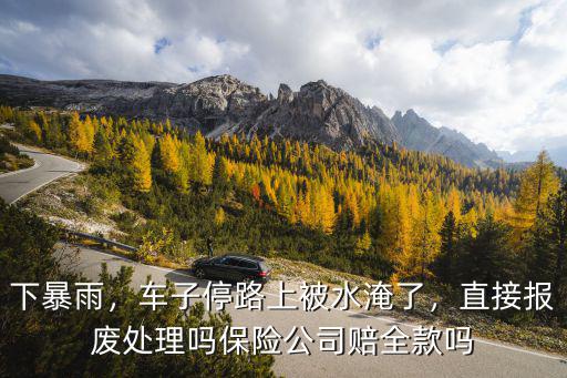 鄭州水淹車保險公司賠了多少,保險公司會賠全款嗎