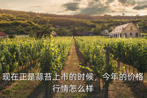 現在正是蒜苔上市的時候，今年的價格行情怎么樣