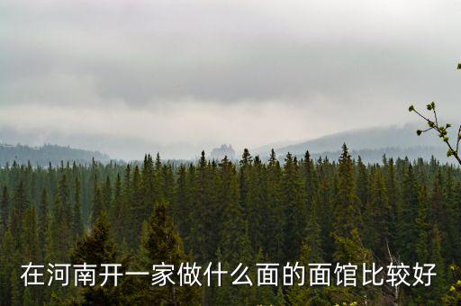 河南哪里的鹵面比較好,鹵面如何做出來比較軟