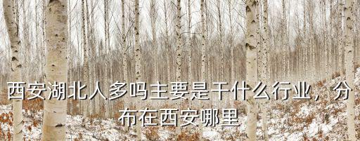 三門峽有多少人在西安,在西安的河南人多