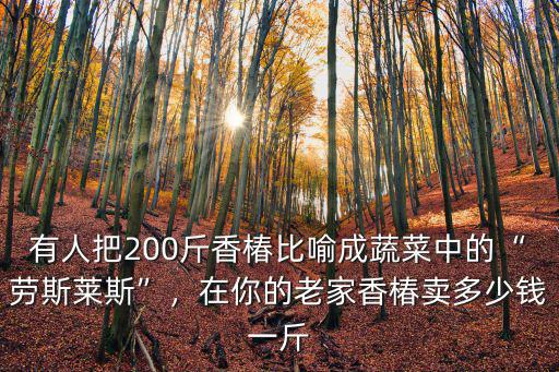 有人把200斤香椿比喻成蔬菜中的“勞斯萊斯”，在你的老家香椿賣多少錢一斤