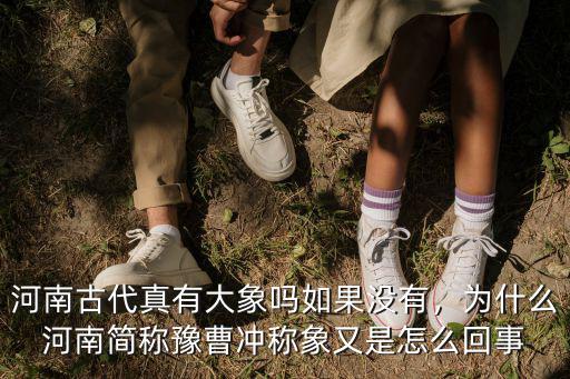 河南古代真有大象嗎如果沒有，為什么河南簡(jiǎn)稱豫曹沖稱象又是怎么回事