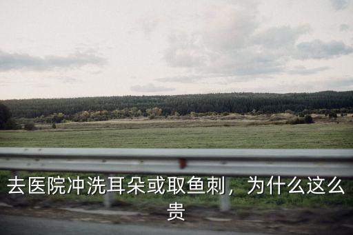 去醫(yī)院沖洗耳朵或取魚刺，為什么這么貴