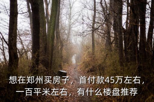 鄭州一百平的房子首付多少,想在鄭州買房子