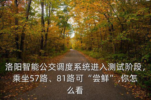 洛陽智能公交調度系統進入測試階段，乘坐57路、81路可“嘗鮮”,你怎么看